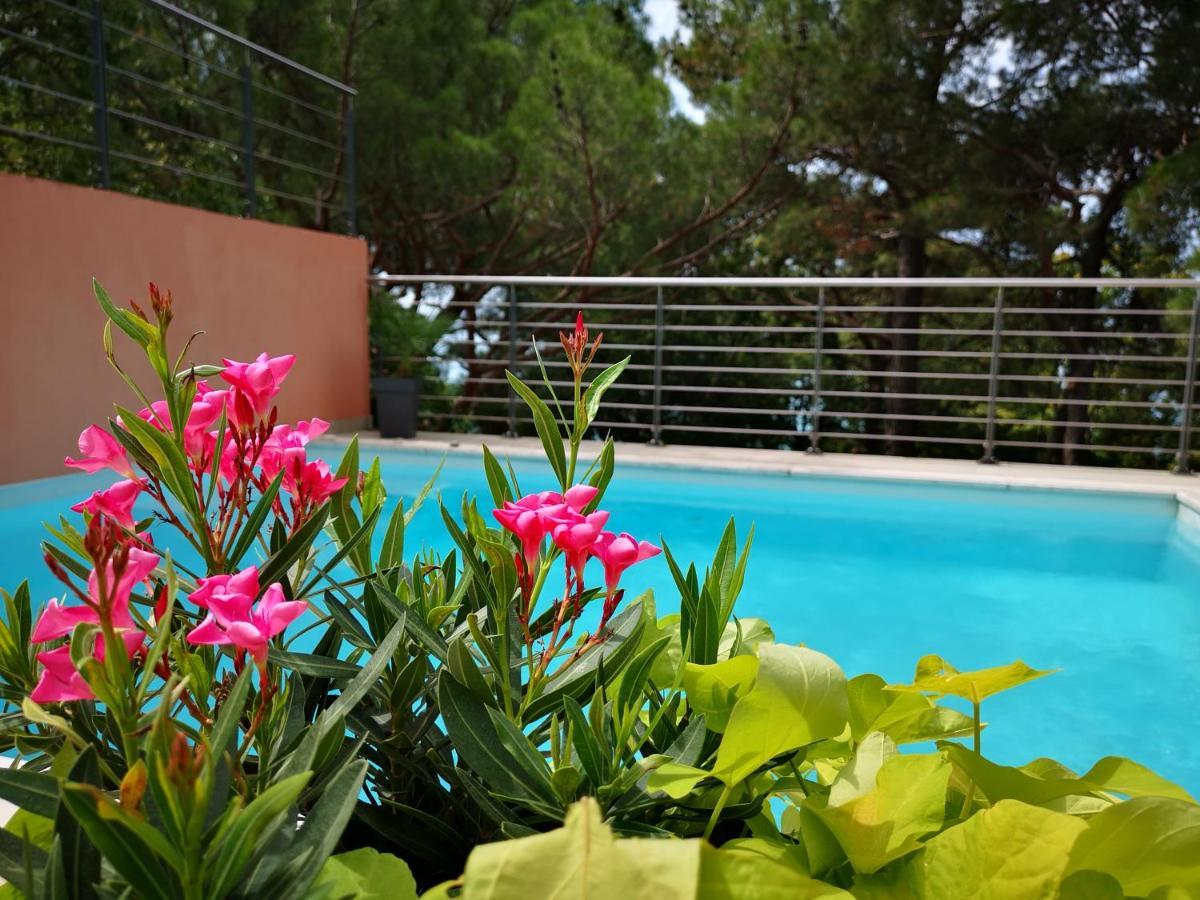 Hotel Tamaris Novi Vinodolski Dış mekan fotoğraf